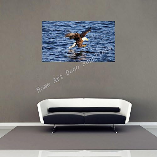 Animals Birds Bald Eagle Poster 4 Size Image Of Modern Urban Art Deco Wallpaper Waterproof Back Glue Paper Poster WFJ173