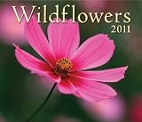 Wildflowers 2011