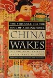China Wakes: The Struggle for the Soul of a Rising Power