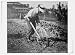 Photo (S): Quentin D. Corley man with hooks (no hands) gardening