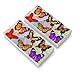 Colorful Butterflies Butterfly Design Eraser Set of 2