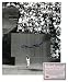 Willie Mays San Francisco Giants MLB Hand Signed 8x10 Photograph The Catch