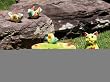 Field Of Flowers Table Top Ceramic Bird Bath