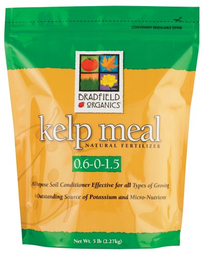 Bradfield Organics Kelp Meal 0.6-0-1.5 Natural Fertilizer - 5 lb #66413