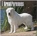 Great Pyrenees 18-Month 2015 Calendar