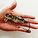 Mouse Rat Fishing Lure (Dark Gray)
