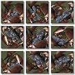 B Dazzle River Otters Scramble Squares 9 Piece Puzzle
