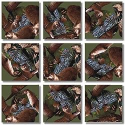 B Dazzle River Otters Scramble Squares 9 Piece Puzzle