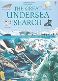 The great undersea search