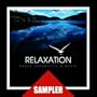 Relaxation Sampler