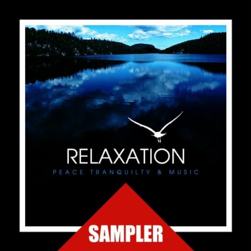 Relaxation Sampler