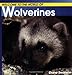 Welcome to the World of Wolverines (Welcome to the World Series)