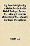 Dog Breeds Originating in Wales: Border Collie, Welsh Springer Spaniel, Welsh Corgi, Pembroke Welsh Corgi, Welsh Terrier, Cardigan Welsh Corgi