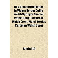 Dog Breeds Originating in Wales: Border Collie, Welsh Springer Spaniel, Welsh Corgi, Pembroke Welsh Corgi, Welsh Terrier, Cardigan Welsh Corgi