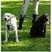 Sporn Double Dog Coupler