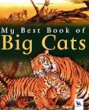 My Best Book of Big Cats