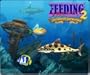 Feeding Frenzy 2: Shipwreck Showdown