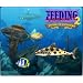 Feeding Frenzy 2: Shipwreck Showdown