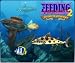 Feeding Frenzy 2: Shipwreck Showdown