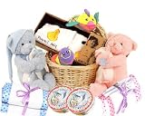 Twin Baby Gift Basket