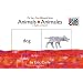 Animals/Animales: My Very First Bilingual Book (The World of Eric Carle) (Spanish Edition)