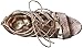 Madden Girl Women's Raceyyy Dress Pump
