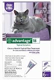 Advantage 2 Cat Purple - - Bci