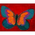 Brilliant Purple Butterfly 16x20"