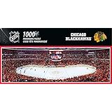 NHL Chicago Blackhawks Arena Puzzle (1000-Piece), Small, Gray