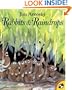 Rabbits And Raindrops