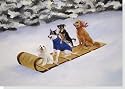 Toboggan Tails Holiday Boxed Cards (Christmas Cards, Holiday Cards, Greeting Cards)