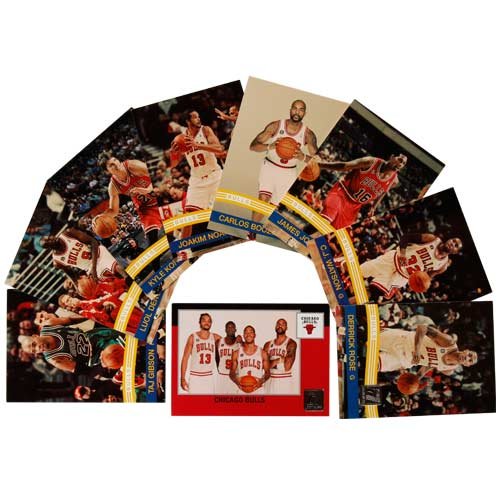 Panini Chicago Bulls 2010/11 Team Set, 14 Rookie Cards