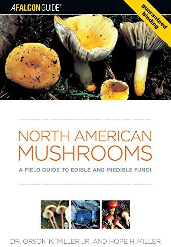 North American Mushrooms: A Field Guide To Edible And Inedible Fungi (Falconguide) by Miller, Orson, Miller, Hope (2006) Paperback
