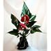 Red Anthurium Hawaiian Volcano Rock Bonsai – Great Living Gift