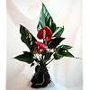 Red Anthurium Hawaiian Volcano Rock Bonsai - Valentine's Day Gift