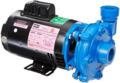 AMT Pump 4890-95 High Head Straight Centrifugal Pump, Cast Iron, 1 HP, 1 Phase, 115/230V, Curve C, 1-1/4" NPT Female Suction, 1" NPT Female Discharge Port