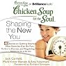 Chicken Soup for the Soul: Shaping the New You - 40 Stories on Getting Started, How Exercise Can Be Fun, To Err Is Human, and Regaining Control