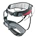 Sports : Salewa Gurt Gelyc Adjustable, schwarz/rot