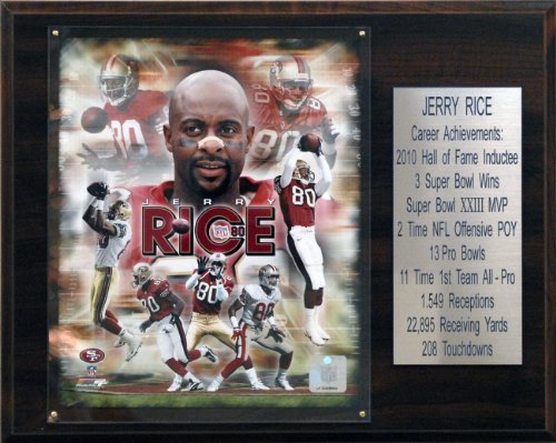 NFL Jerry Rice San Francisco 49ers Career Stat Plaque
