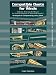 BB Treble Clef Clarinet Trumpet Tenr Sax (Compatible Duets for Winds)