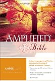 Amplified Bible