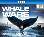 Whale Wars [HD]: Whale Wars Season 1 [HD]