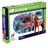 Tedco 4D Vision Horse Model