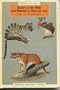 Riches of the Wild: Land Mammals of South-East Asia (Images of Asia)