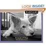 Pawfiles: Portraits of Dogs: A Bark and Smile Book