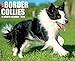 Just Border Collies 2015 Wall Calendar