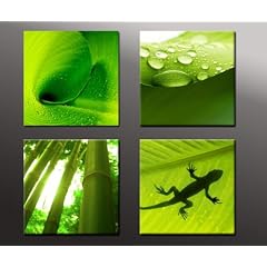 Keilrahmenbild Set 4 teilig Pflanzen - fertig gerahmt auf Keilrahmen, Qualit�tsware 100% Made in Germany! Lounge Bild mit Bilderrahmen. Kein Poster oder Plakat sondern Leinwand Kunstdruck als Wandbild mit Rahmen. Das ideale Geburtstagsgeschenk.