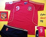 Spain Soccer Jersey Torres Euro 08 Champions Adult and Children Sizes