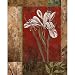 (12x16) Maria Donovan Jeweled Iris II Art Print Poster