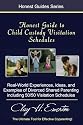 Honest Guide To Child Custody Visitation Schedules: Real-World Experiences, Ideas, And Examples Of "Divorced Shared Parenting" & 50/50 Visitation